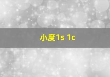 小度1s 1c